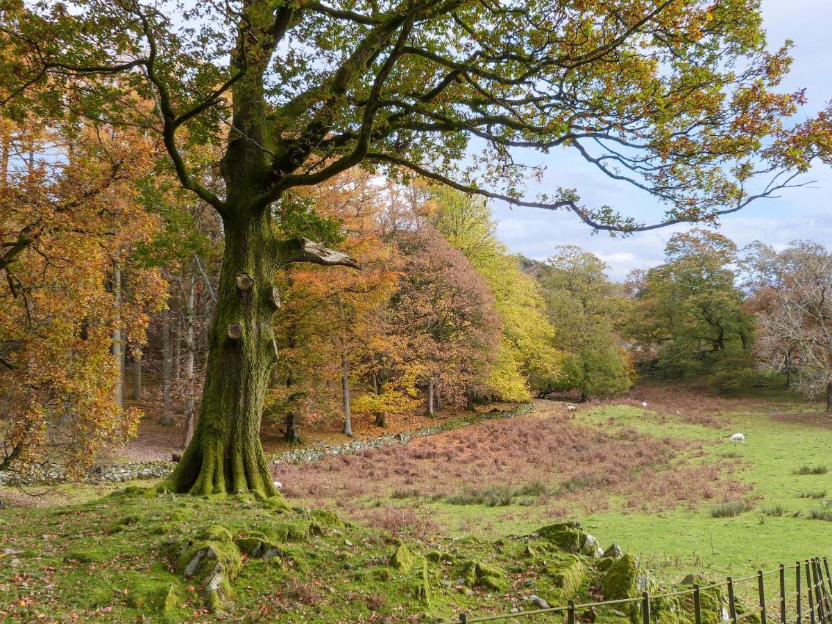 Cherry - Woodland Cottages Bowness-on-Windermere Buitenkant foto